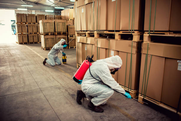 Best Cockroach Control Services  in Grandview Plaza, KS