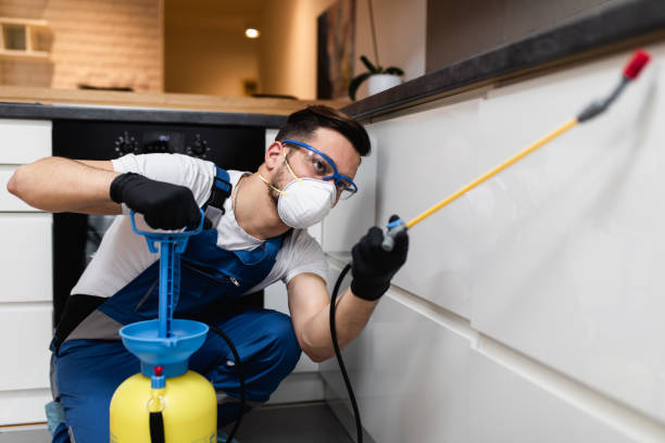 Best Local Pest Control Services  in Grandview Plaza, KS