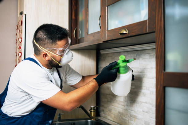 Trusted Grandview Plaza, KS Pest Control Experts