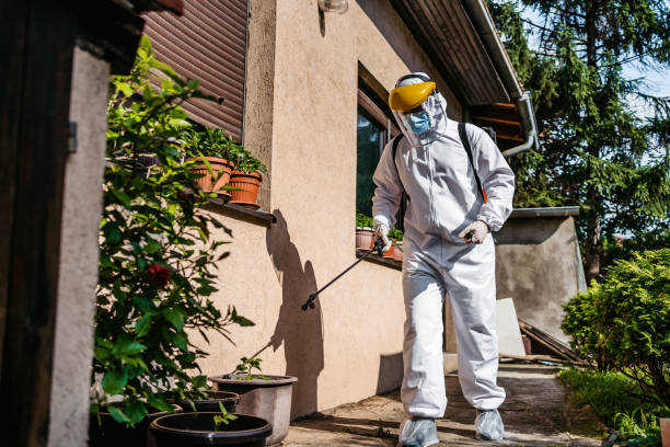 Best Pest Control Treatment  in Grandview Plaza, KS