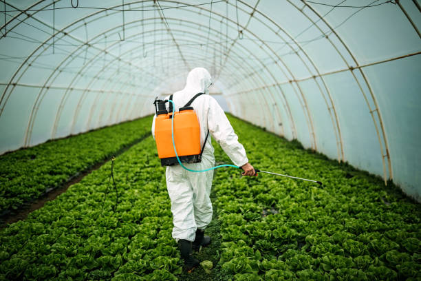 Best Pest Prevention Services  in Grandview Plaza, KS