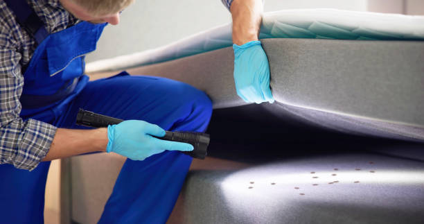 Best Mosquito Control Services  in Grandview Plaza, KS