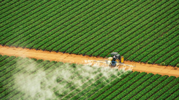 Best Termite Control Services  in Grandview Plaza, KS