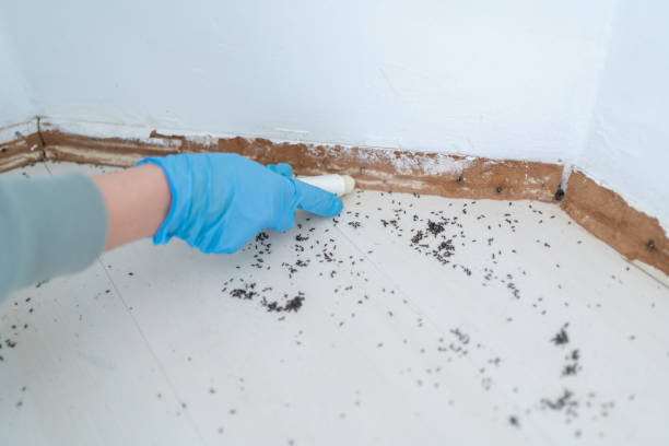 Pest Prevention Services in Grandview Plaza, KS