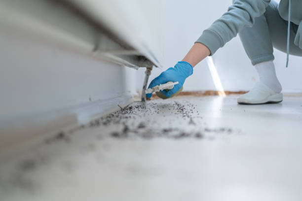 Best Bed Bug Extermination  in Grandview Plaza, KS